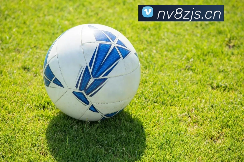 星空体育网站入口平台生态图